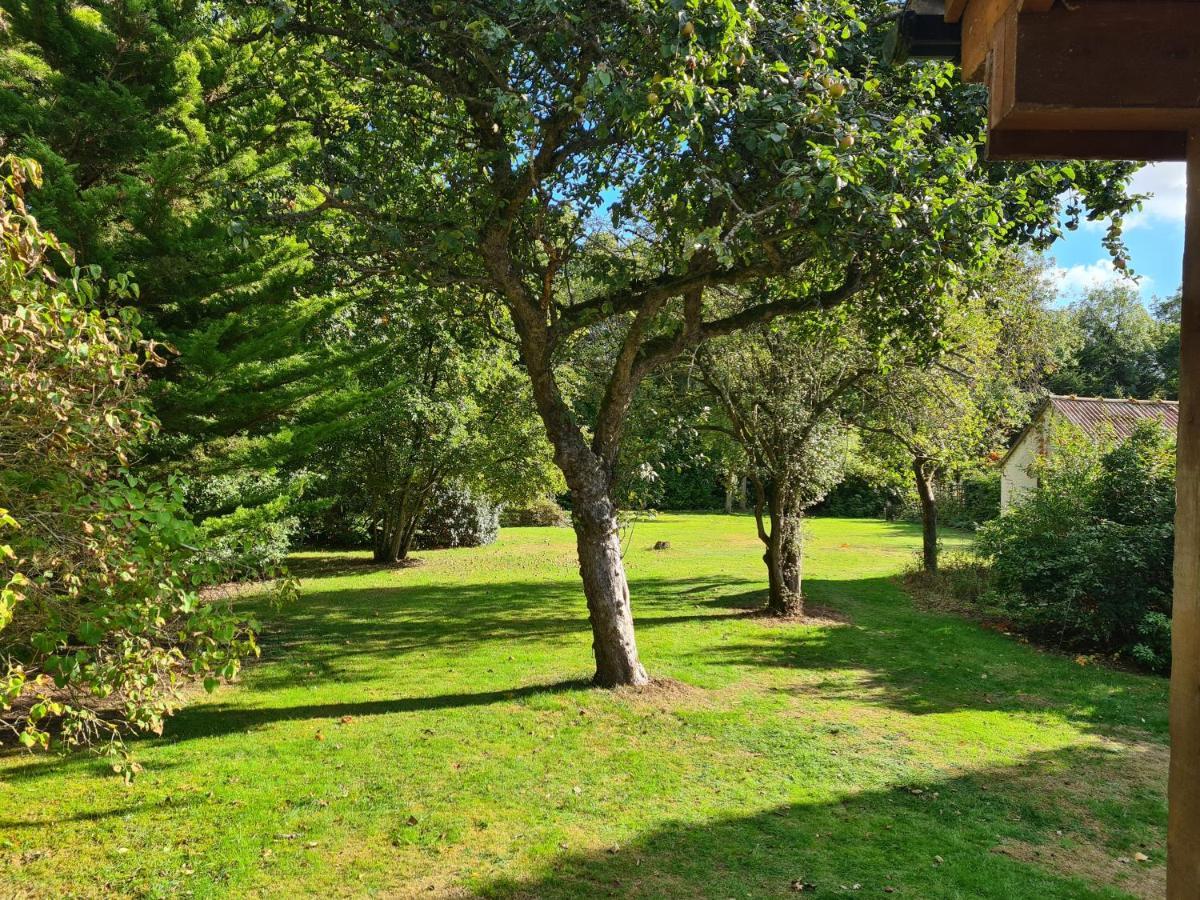 The Reading Whole Chalet With Lake And Two Acre Gardens Екстер'єр фото